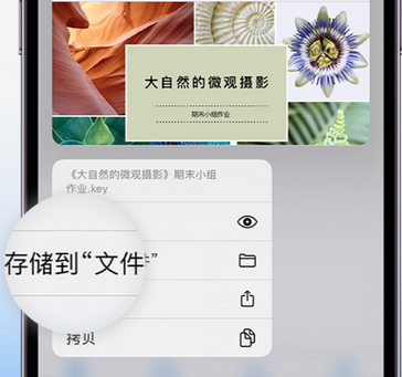 清流apple维修中心分享iPhone文件应用中存储和找到下载文件