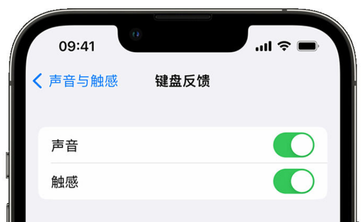 清流苹果手机维修分享iPhone 14触感键盘使用方法 