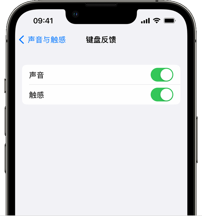 清流苹果14维修店分享如何在 iPhone 14 机型中使用触感键盘 