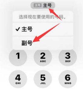 清流苹果14维修店分享iPhone 14 Pro Max使用副卡打电话的方法 