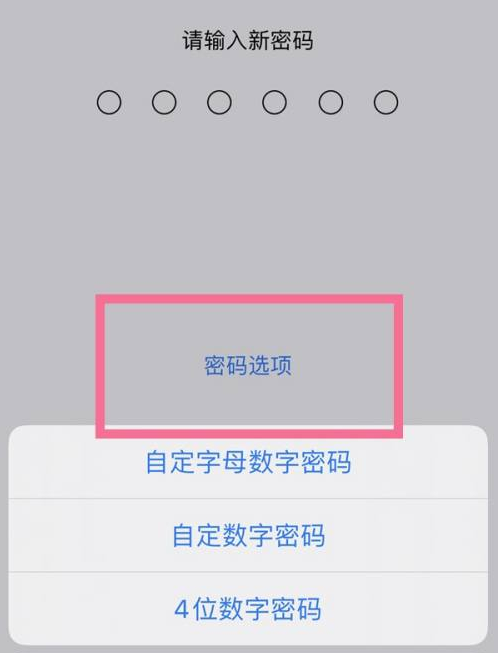 清流苹果14维修分享iPhone 14plus设置密码的方法 