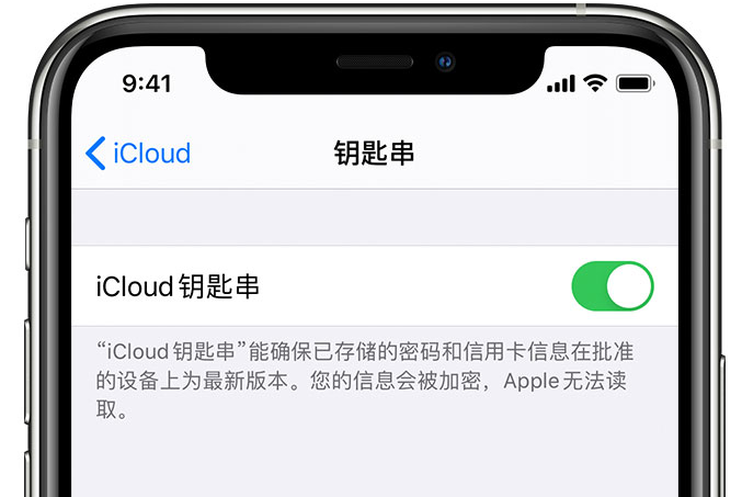 清流苹果手机维修分享在 iPhone 上开启 iCloud 钥匙串之后会储存哪些信息 