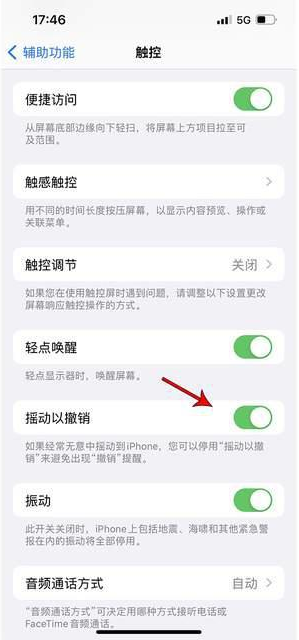 清流苹果手机维修分享iPhone手机如何设置摇一摇删除文字 